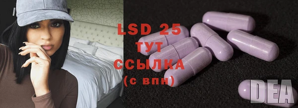винт Абаза