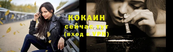 винт Абаза