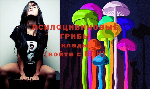 винт Абаза