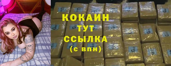 винт Абаза