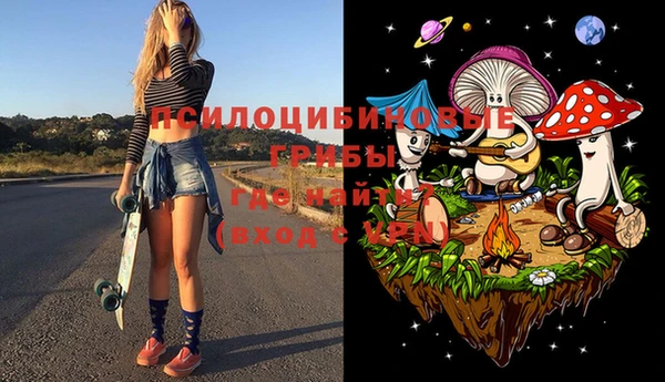 винт Абаза