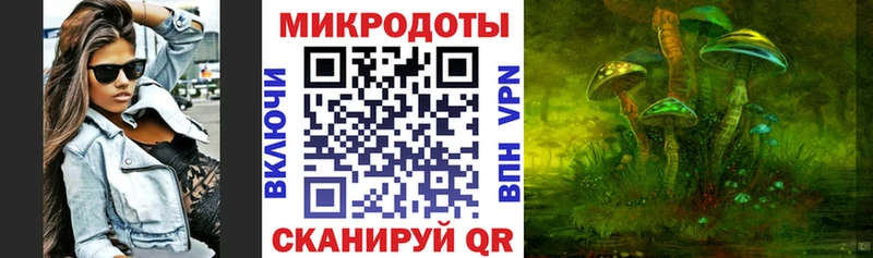 наркошоп  Суоярви  Галлюциногенные грибы Psilocybe 